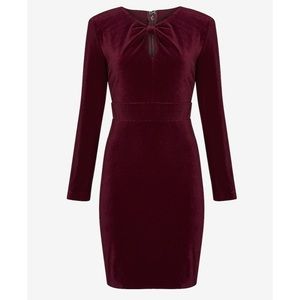 Express Velvet Knotted Neck Sheath Dress